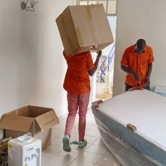 Pet & Animal Relocation — Busia Movers Limited
